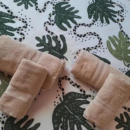 Casa Vivi * Vallehermoso