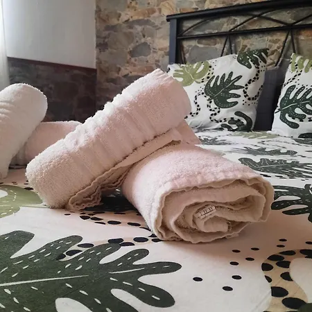 Casa Vivi